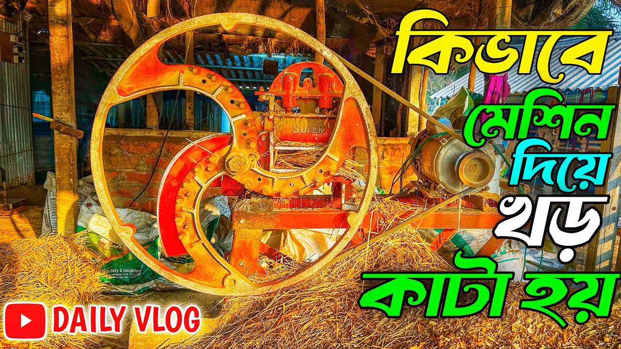  কিভাবে মেশিন দিয়ে খড় কাটা হয় || নিউ খড় কাটা মেশিন || আধুনিক খড় কাটা মেশিন || নিউ ভাইরাল ভিডিও 