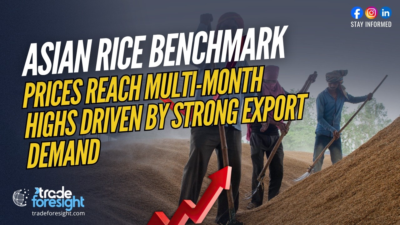Asian Rice Benchmark Prices Reach Multi-Month Highs Driven by Strong Export Demand