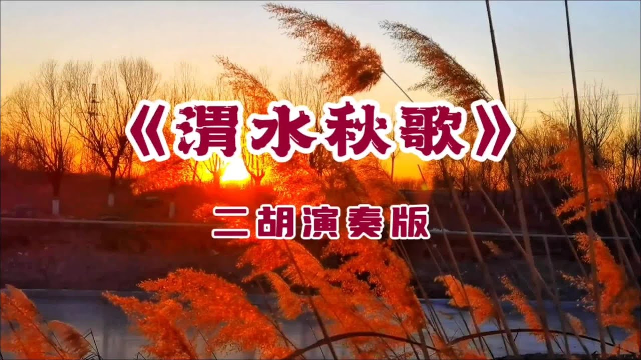 《渭水秋歌》二胡演奏版，感人肺腑的旋律#看见音乐计划 #音乐分享 #每日推荐音乐 #抖音热歌 #百听不厌