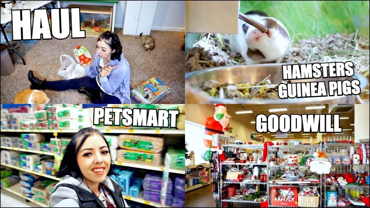 PETSMART HAMSTERS & GUINEA PIGS | Hamster Supplies Goodwill Shopping & Haul
