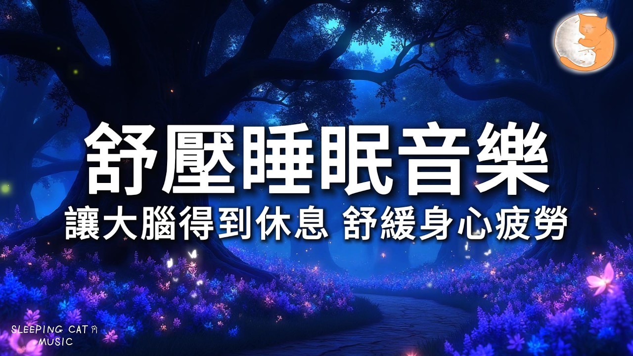 【100%無廣告放鬆音樂】舒壓睡眠音樂｜讓大腦得到休息 舒緩身心疲勞｜一小時鋼琴音樂