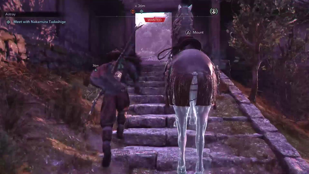LATE NIGHT STREAM