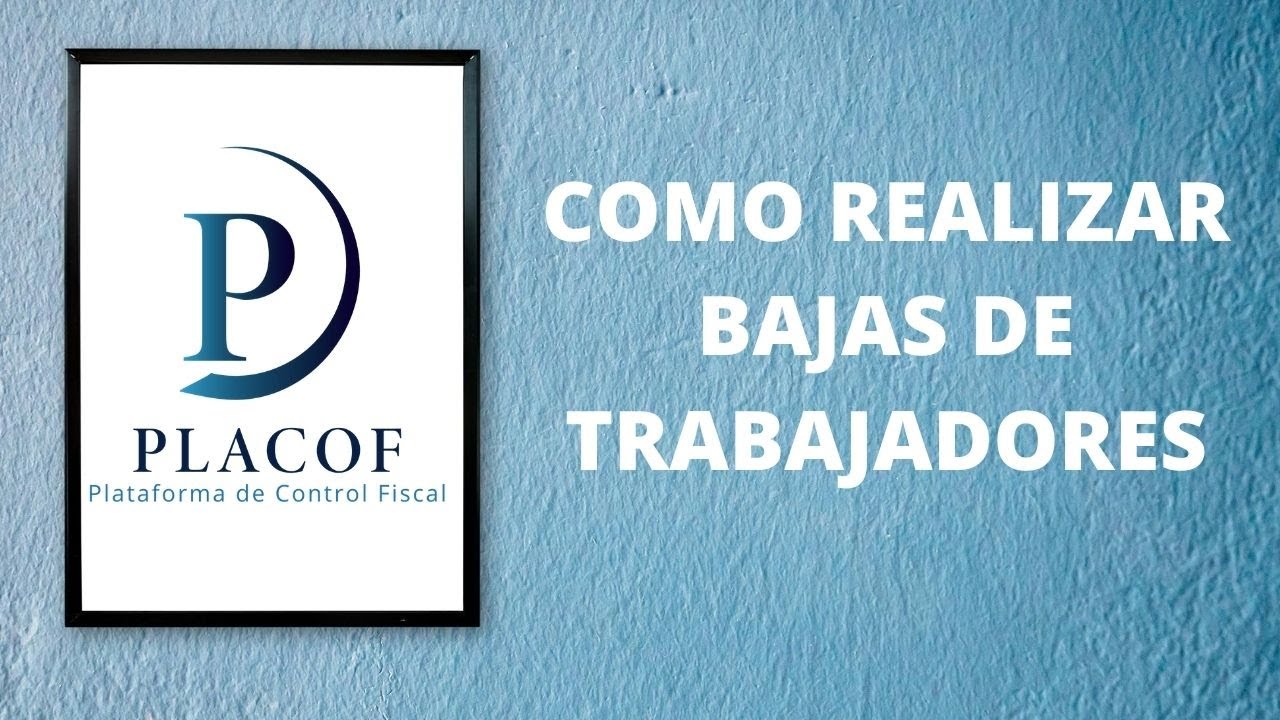 ¿Como realizo bajas de trabajadores a través de la plataforma?