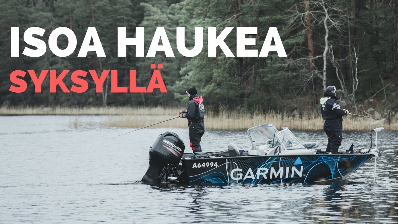 Haukiguru Heinonen paljastaa syyshaukiniksit