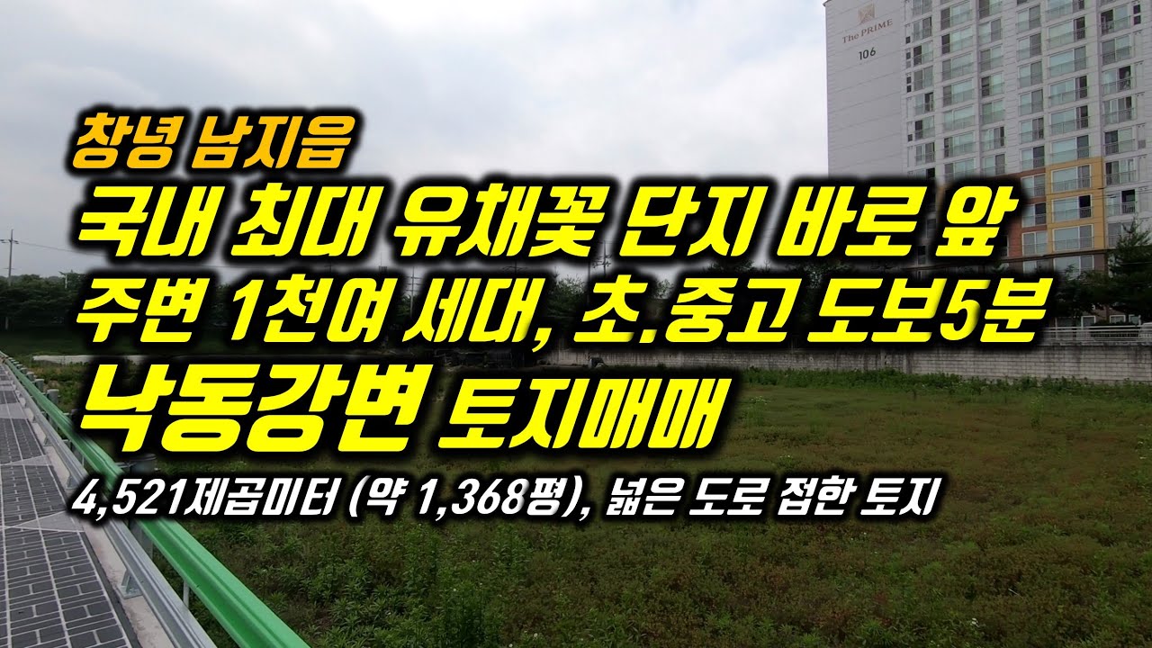 경남 창녕군 남지읍 남지리 낙동강변 토지매매 낙동강과 유채꽃을 품은 땅, 1천여 세대 아파트 주변 초.중.고 도보5분 거리 4차선 넓은 도로 접한 황금 입지 토지 대공개!