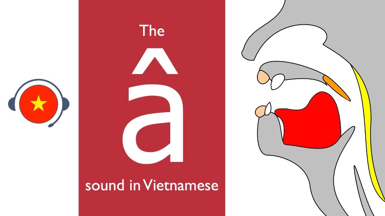 🇻🇳 Vietnamese : &acirc; sound. Learn sound system in Vietnamese. Vietsound.