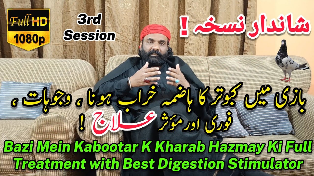 Bazi Mein Kabootar K Kharab Hazmay Ka Elaj | Kabootar K Band Pot Ka Elaj | Hazmay Wala Pani