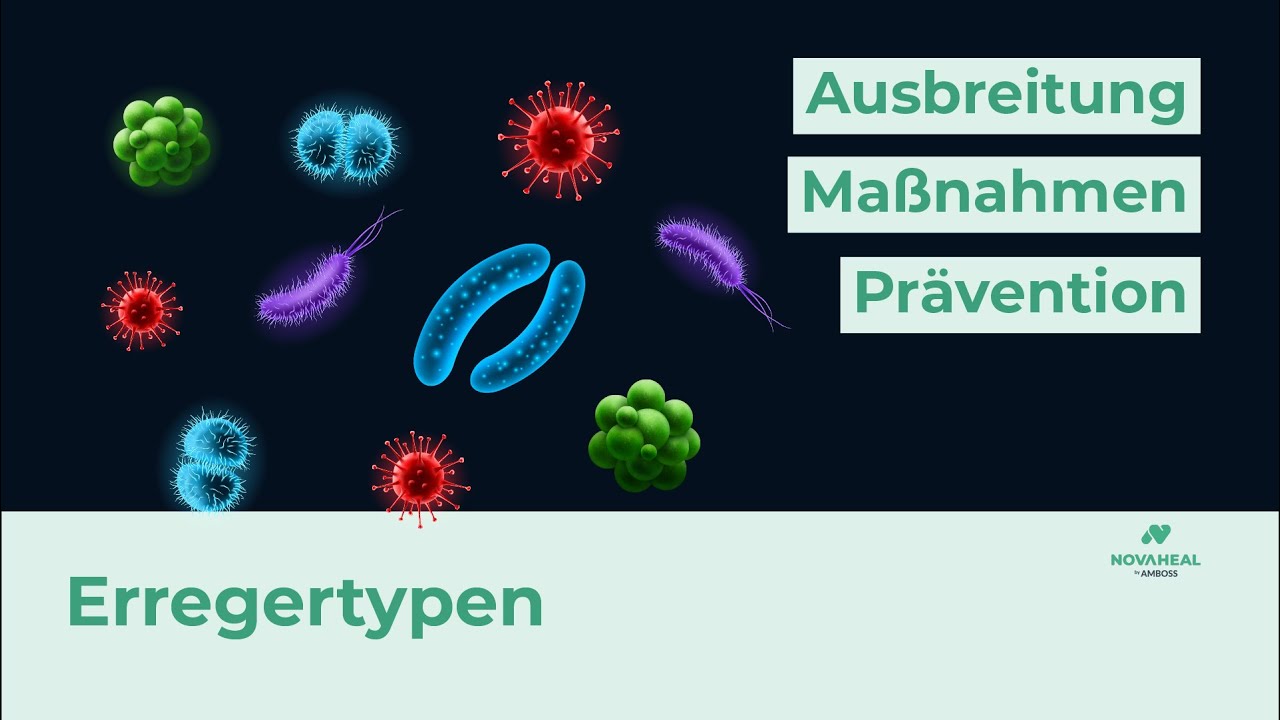 Welche ARTEN von KRANKHEITSERREGERN gibt es? | Erregertypen einfach erklärt