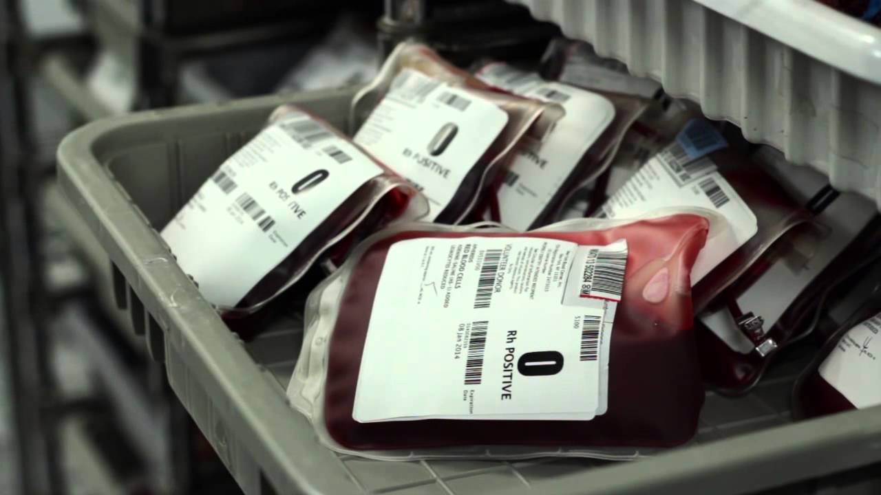 New York Blood Center NPO
