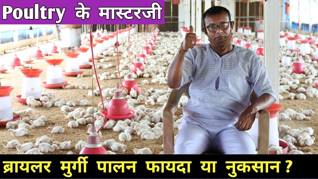 Poultry Ke Masterji | Broiler Chicken Farming | Poultry Farming