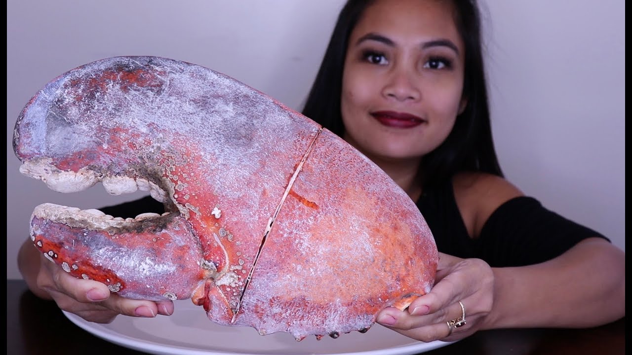 Giant lobster Claw from 20 lbs lobster