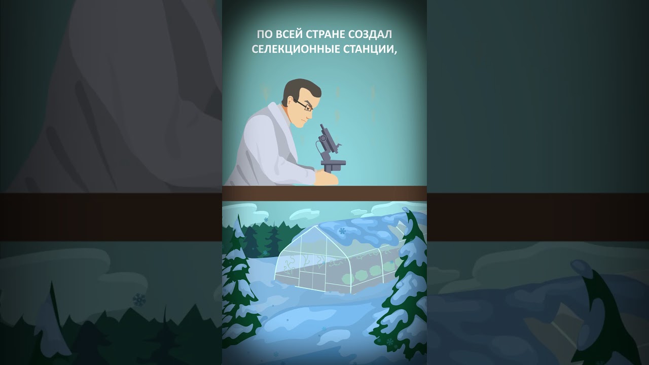 Как русский генетик придумал, как накормить весь мир - Николай Вавилов #СССР #наука #история