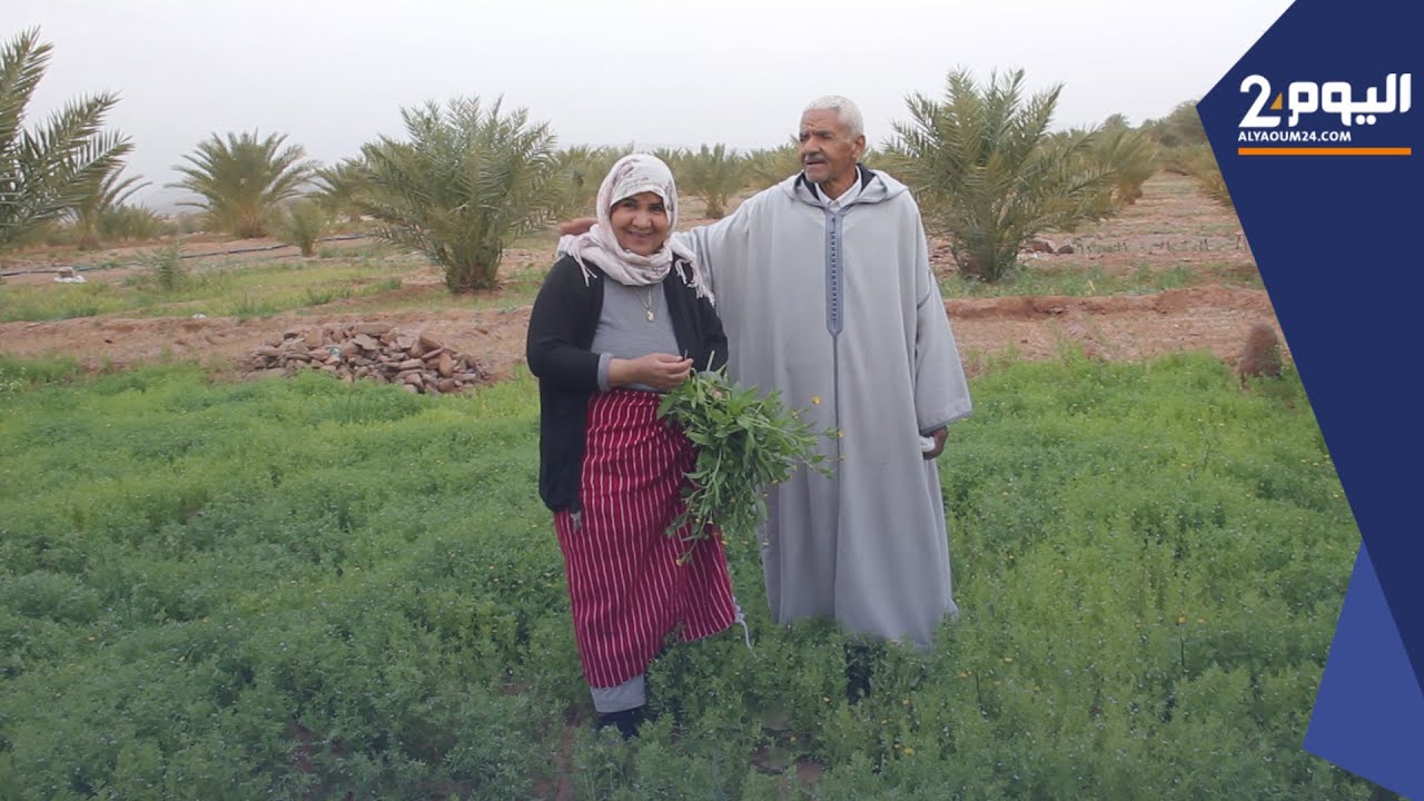 تعرف على قصة 