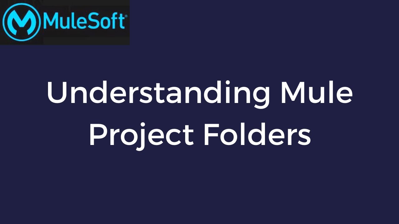 Mule Project Folders