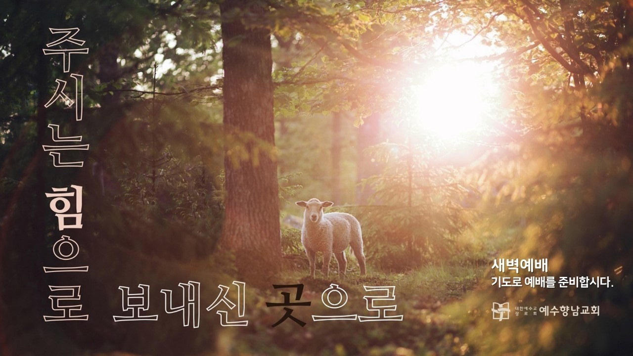 2026.3.6 (금) 새벽예배ㅣ지현우 목사ㅣ사랑하시기에 기다리신 주님ㅣ요한복음 11장 1-16절