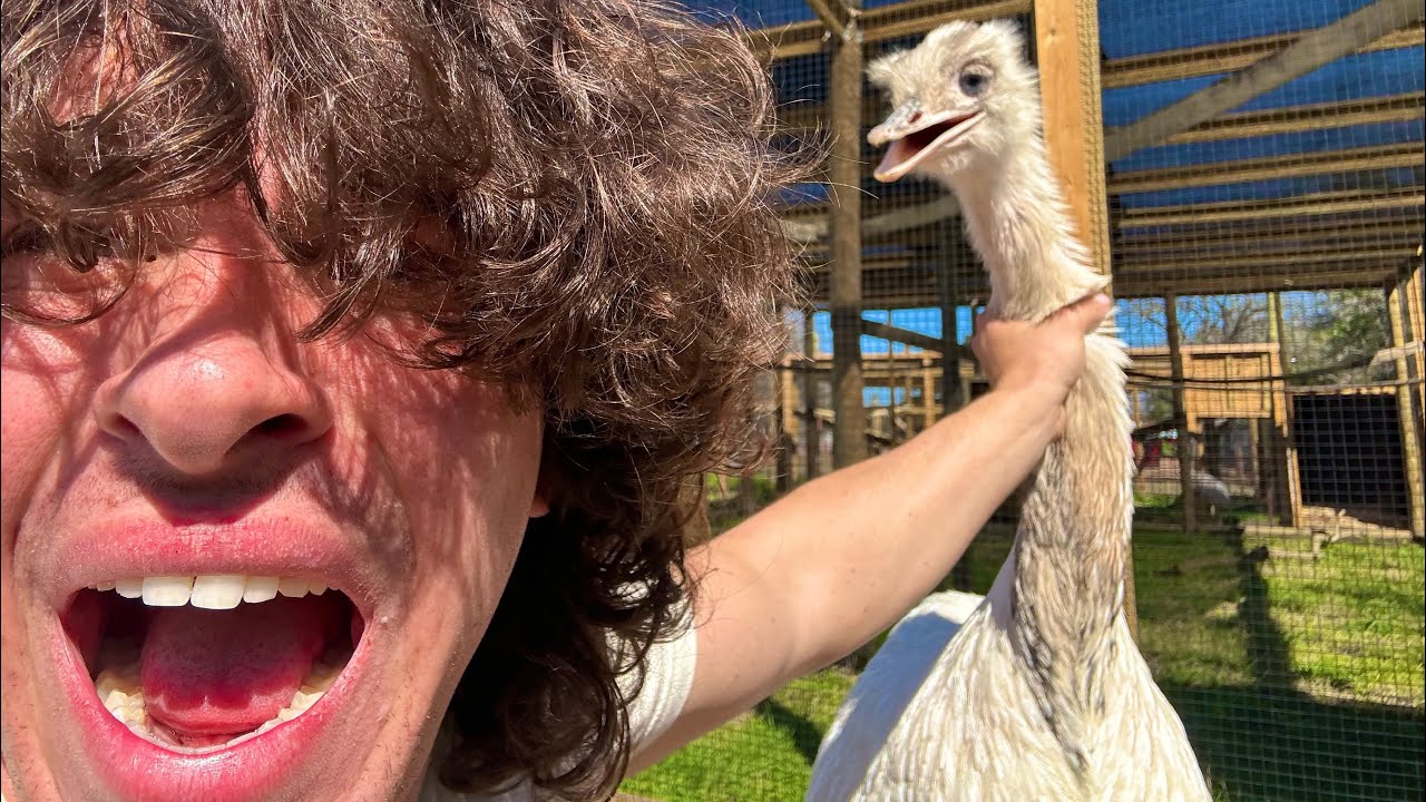 Kevin’s Son is Worse.