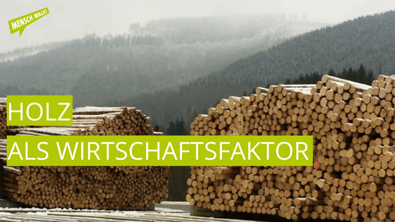 Holz als Wirtschaftsfaktor