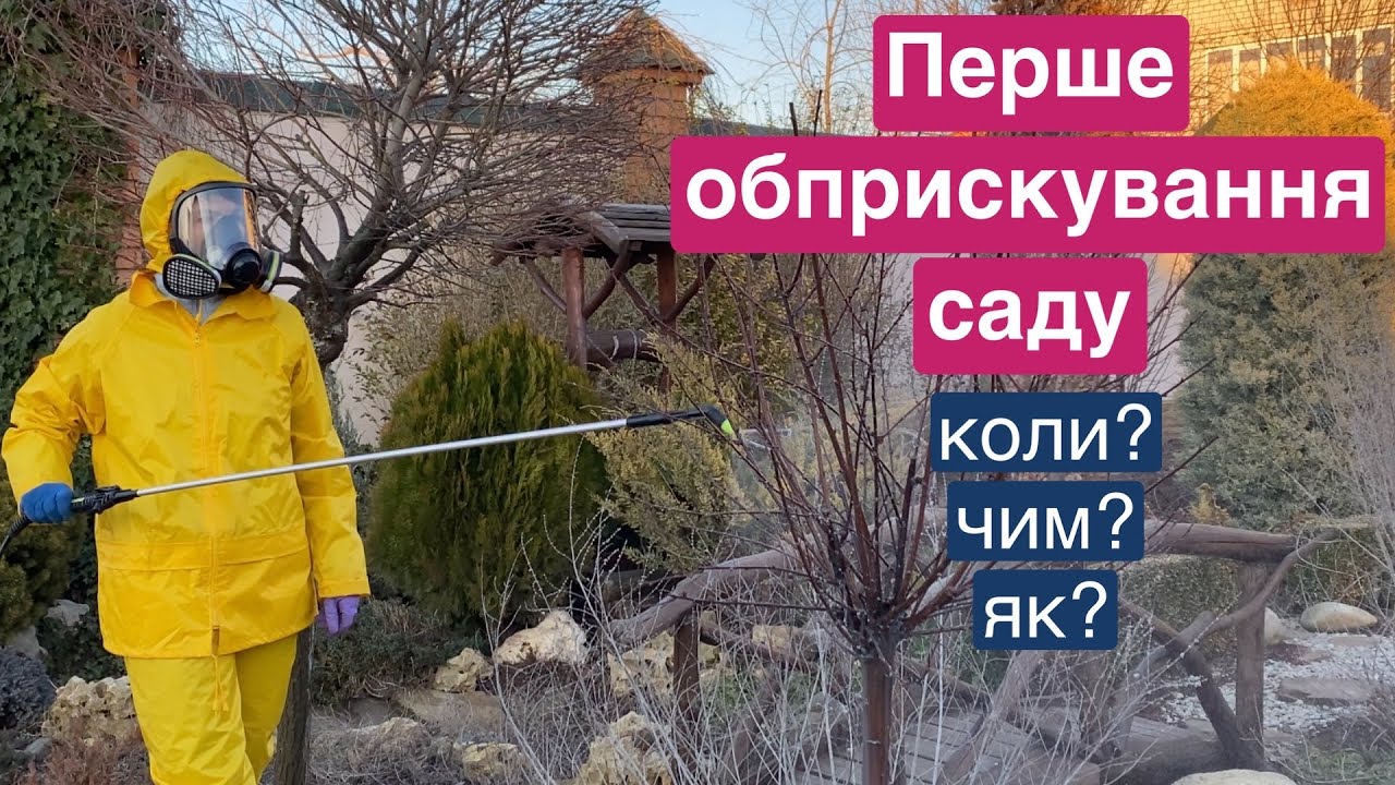 Перша обробка саду навесні. Захист від хвороб та шкідників