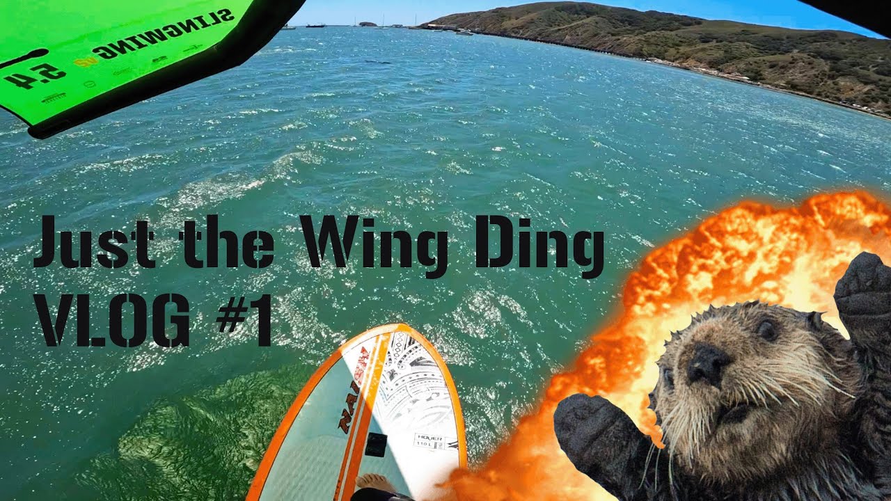 Beginner Wing Foil Session | Just the Wing Ding VLOG #1
