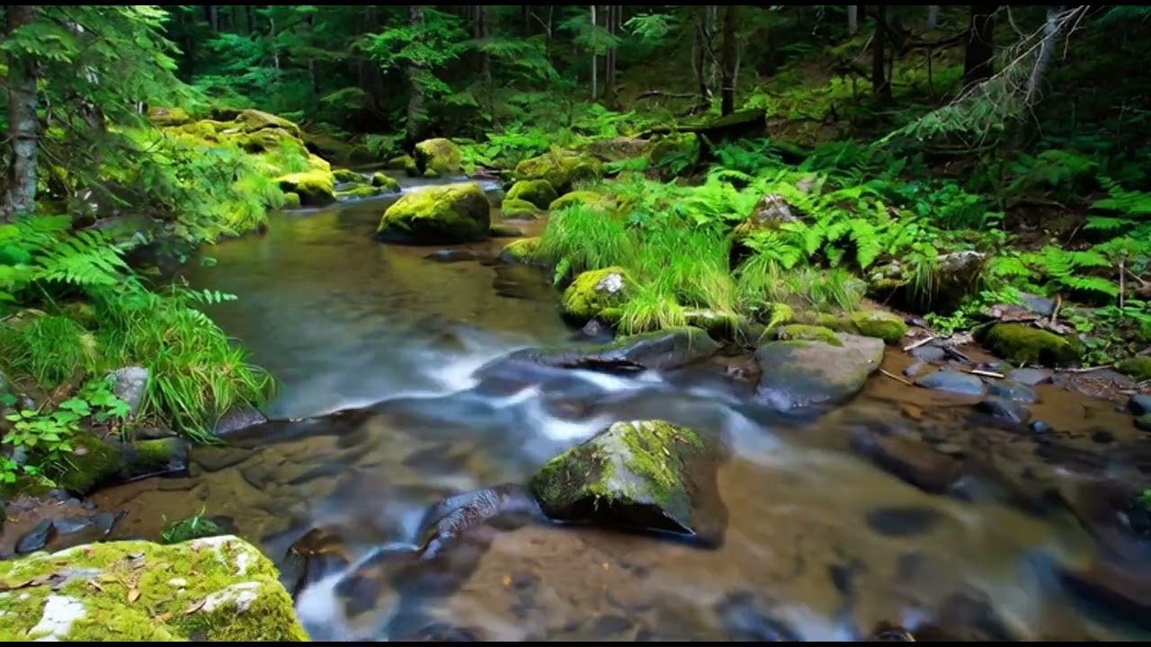 8 HOURS of Deep RELIEF Musicុំ​MELTS Stress & Anxiety Away (Ultimate Alpha Waves) FINALLY, Peace.