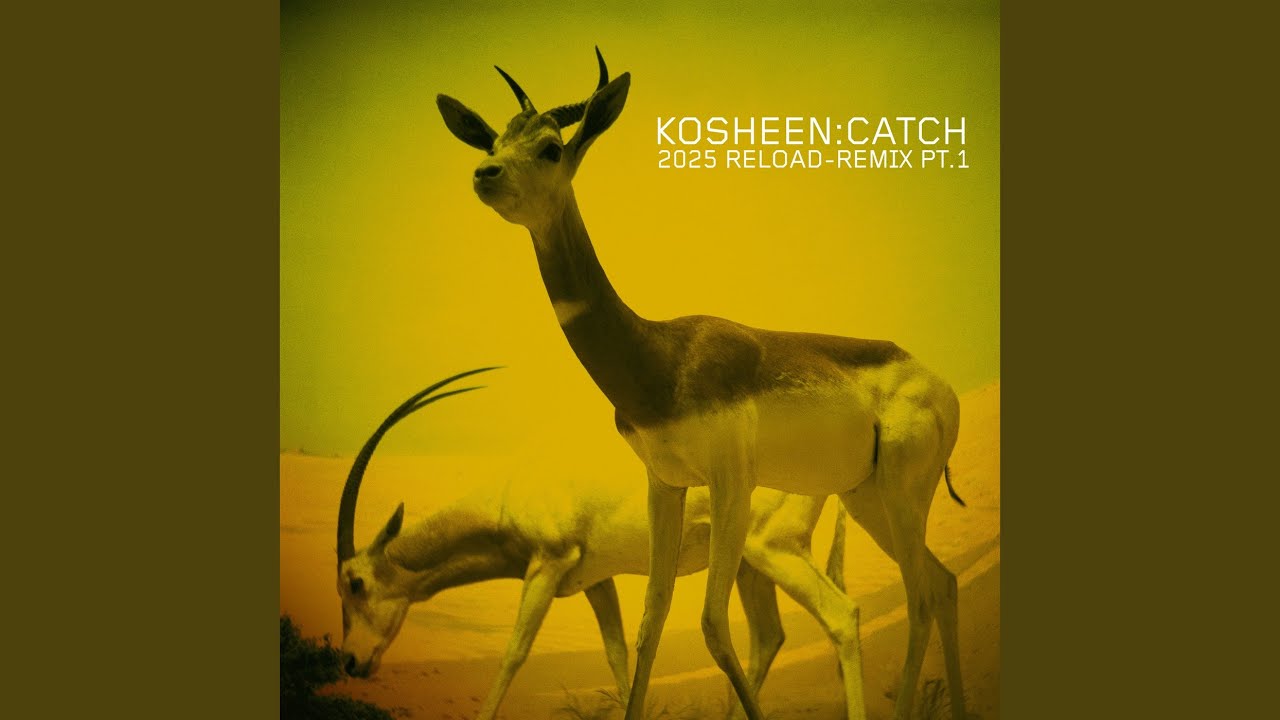 Catch (Adamon & Bella Kri Remix Long Edit)