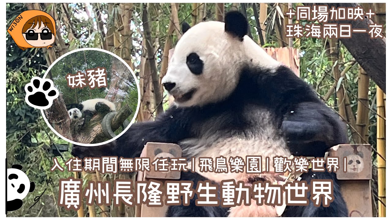 🐼廣州長隆旅遊度假區｜一家大細好去處｜長隆國際大馬戲🎪｜入住長隆酒店｜酒店自助晚餐｜入住期間無限入3個園區｜珠海兩日一夜｜珠海橫琴看海西餐廳與喵喵共進午餐｜必食生蠔火鍋｜北山食MAMA麵