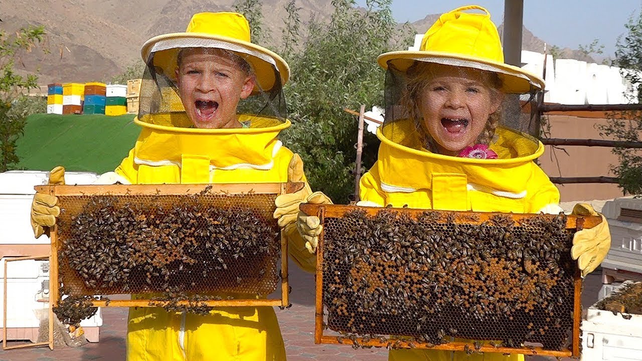 Diana y Roma Aprenden sobre las Abejas, HATTA Honey Bee Garden – Divertido Viaje Familiar