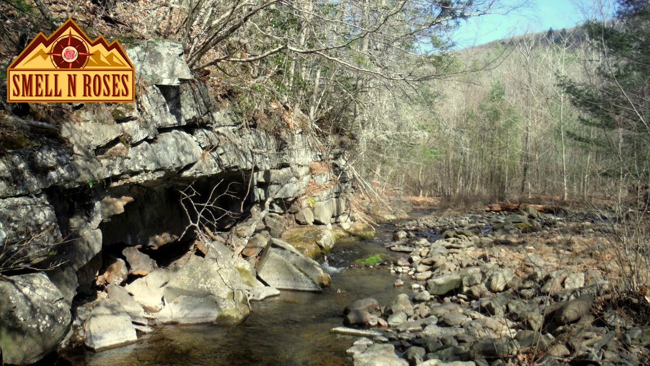 Hiking Ramsey's Draft Wilderness