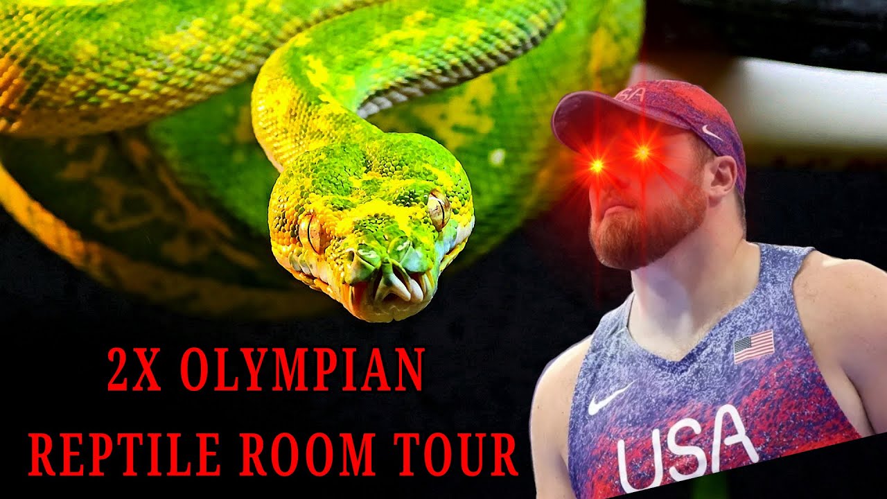 Olympian Reptile Room Tour