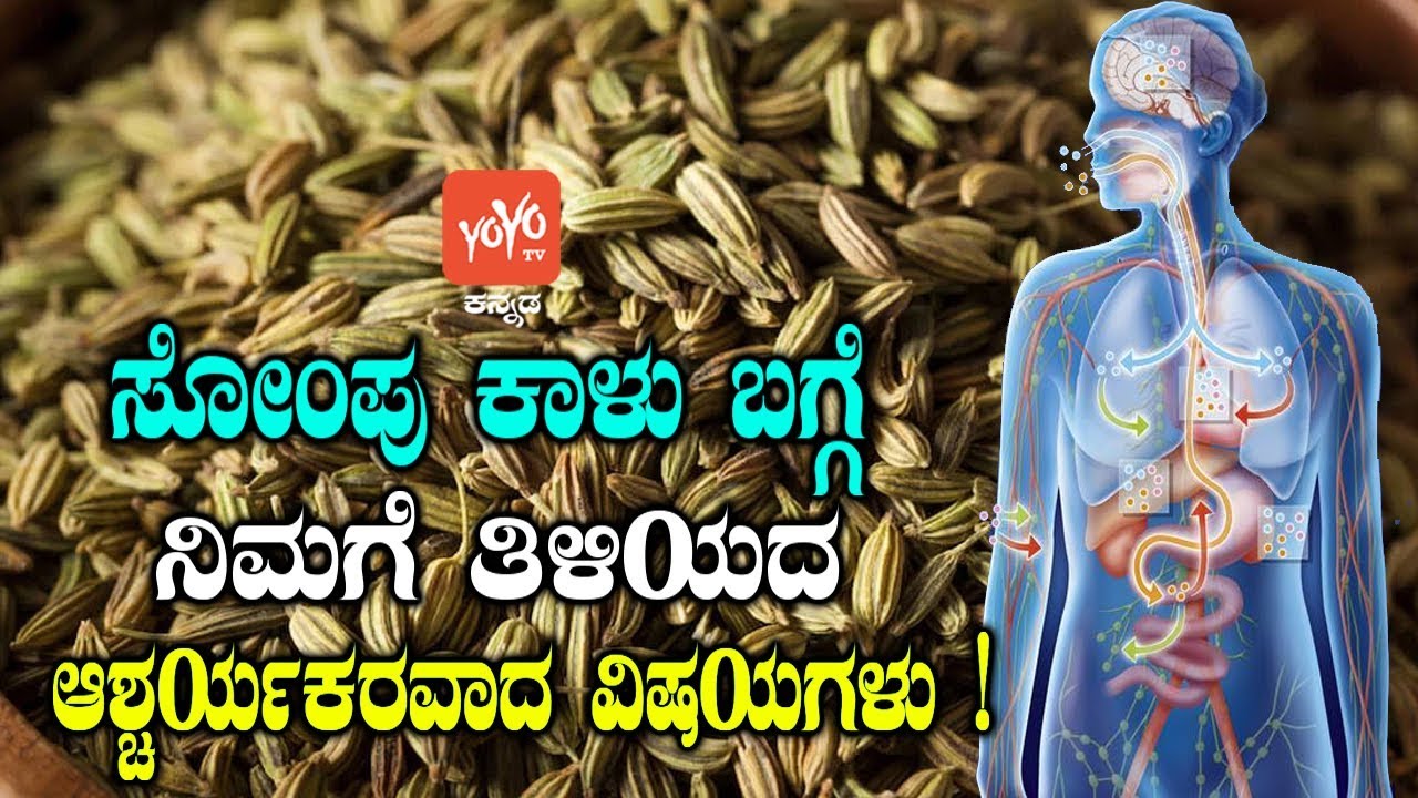 ಸೋಂಪು ಕಾಳು ಬಗ್ಗೆ ನಿಮಗೆ ತಿಳಿಯದ ಆಶ್ಚರ್ಯಕರವಾದ ವಿಷಯಗಳು! | Sompu Kalu Benefits | YOYO TV Kannada Health