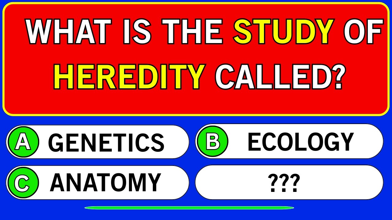 🌍 Around the World Quiz | International General Knowledge