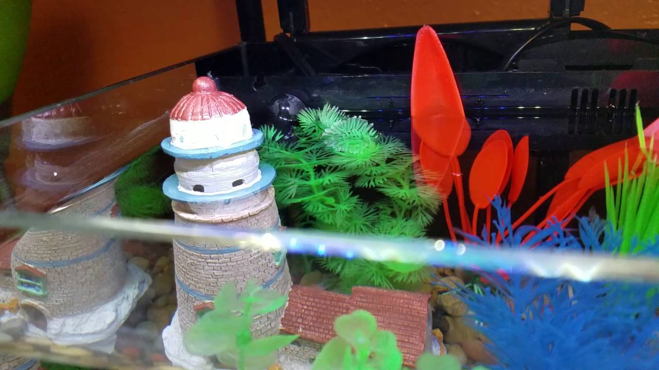 how to lower fish tank flow rate