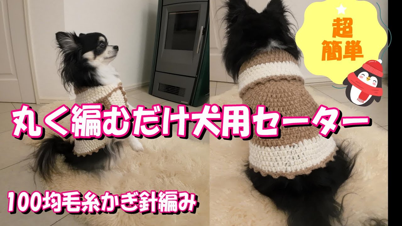 【かぎ針犬用セーター】2玉で編める簡単な小型犬のセーター 100均毛糸フラッフィでくるくる丸い編み方です