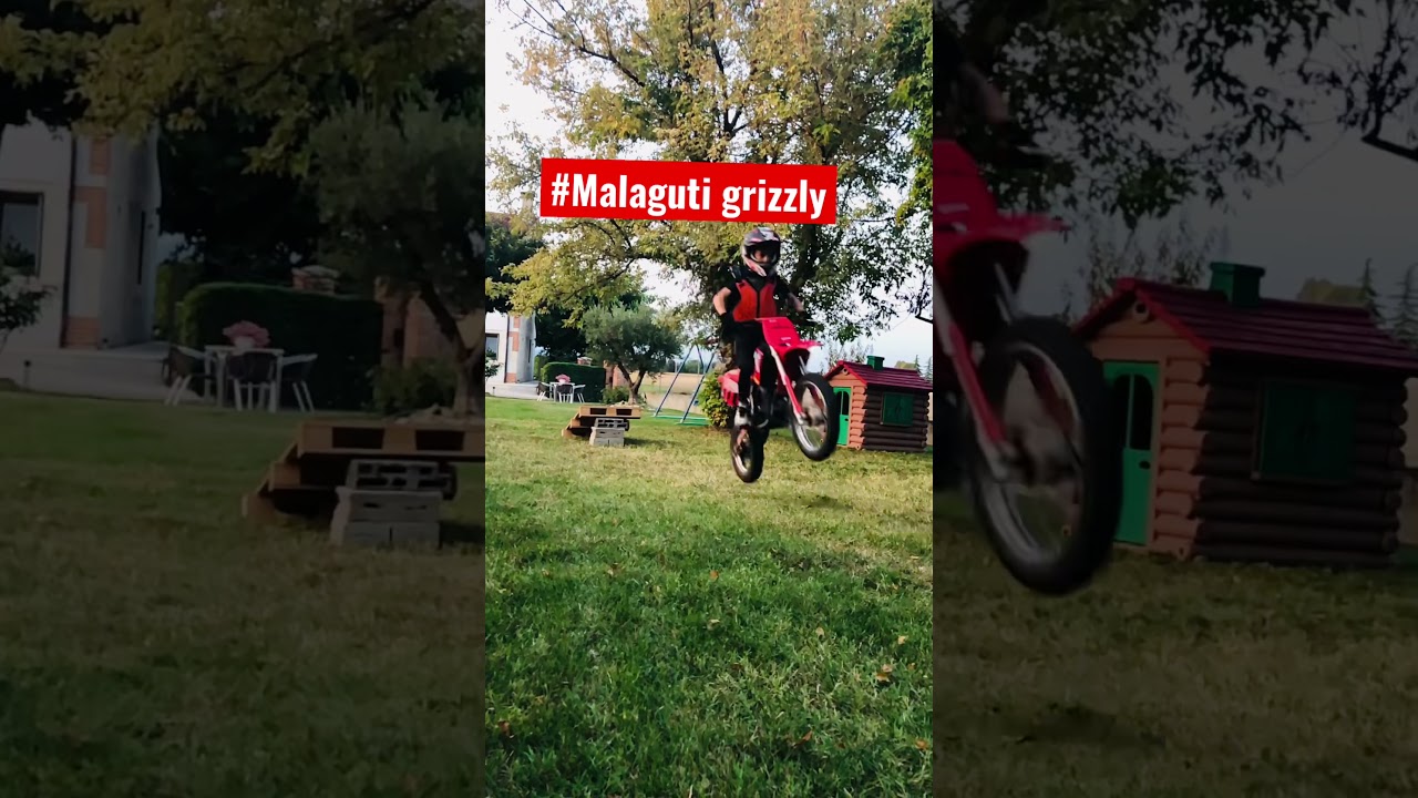 Prova salto 60 cm malaguti grizzly