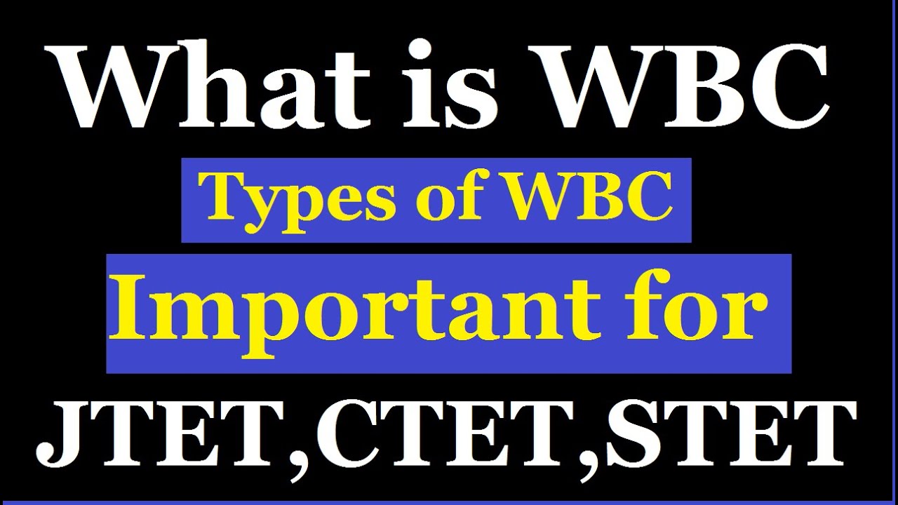 White Blood Cell || Types of WBC || Function of WBC in Hindi || WBC Count || JTET, CTET, STET-2020||