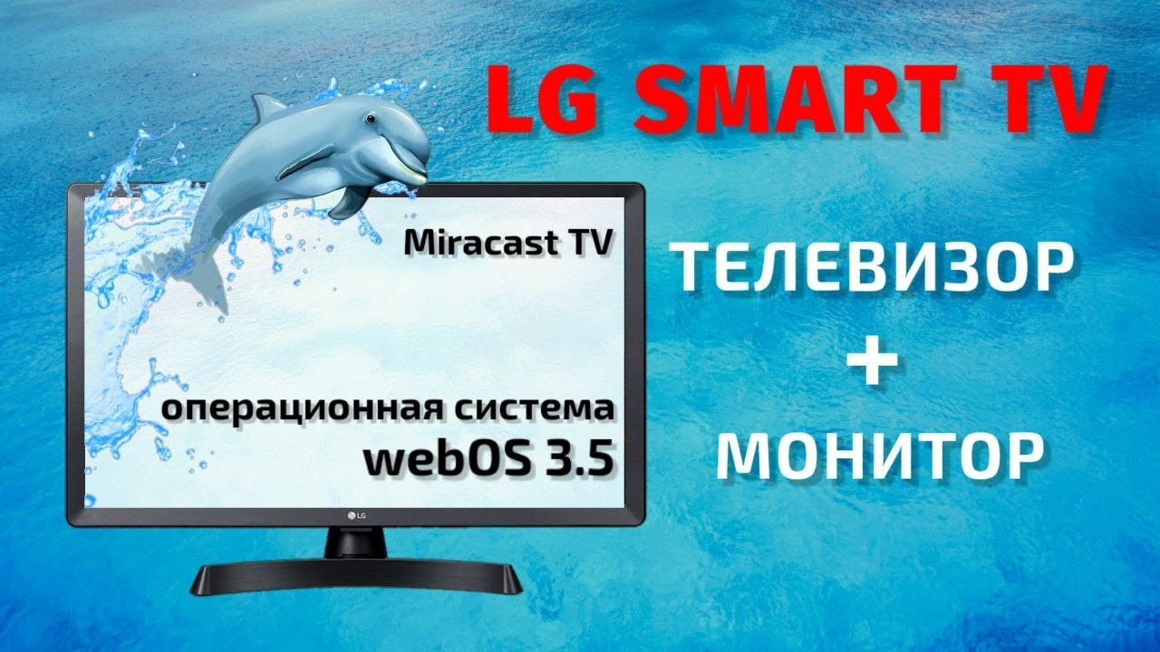 Smart-телевизор LG 24TN510S-PZ