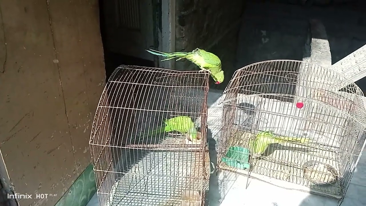 ##😲😲🙂##