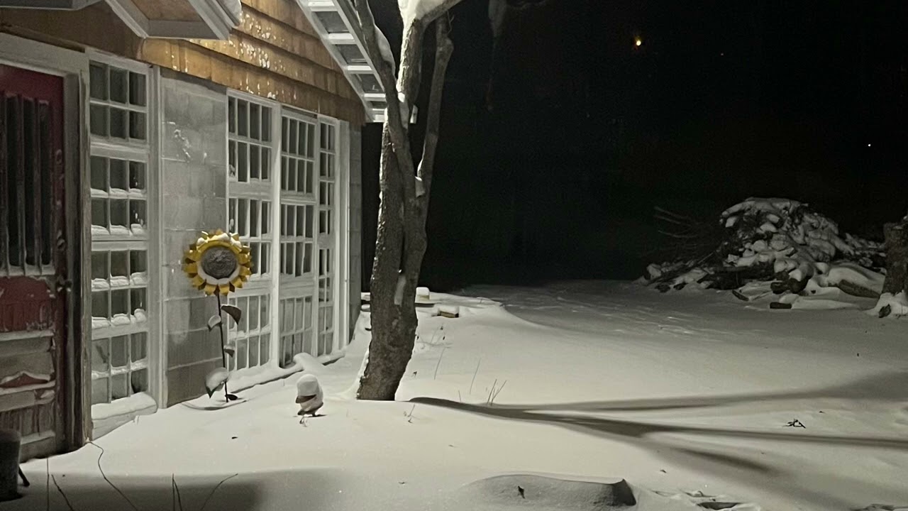 alone in the snow
