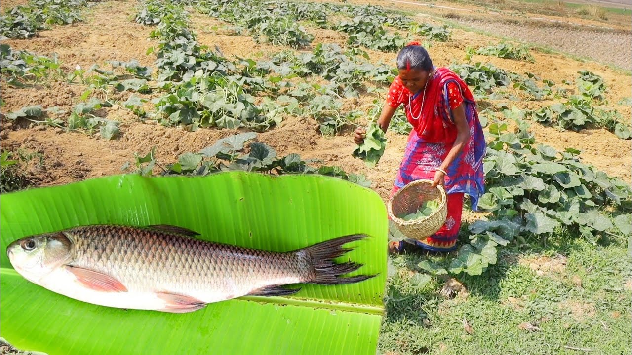 Santali tribe grand ma collect PUMPKIN LEAVES for making pakora And Fish curry cooking for lunch