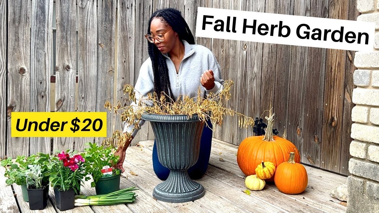 Осенняя грядка для трав для начинающих | ДО 20 долларов 🙌🏾🌿😃