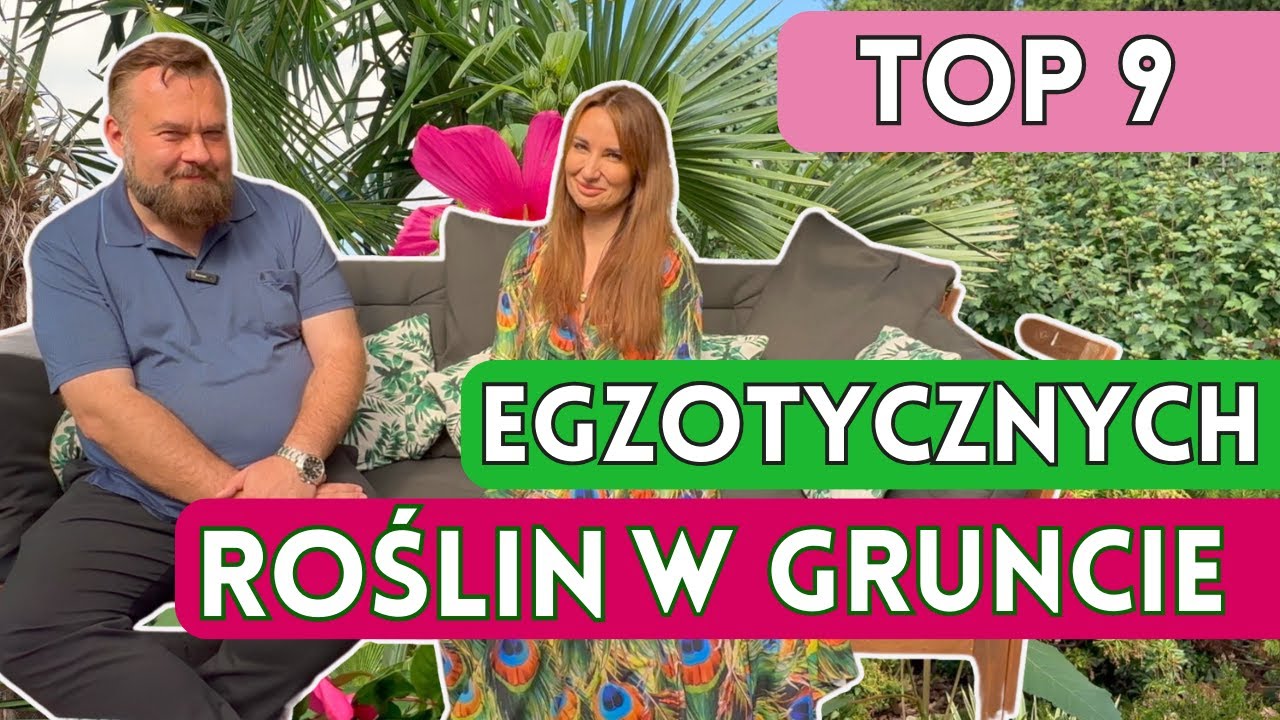 TOP 9 EGZOTYCZNE ROŚLINY DO GRUNTU- Ogród Działkowy Dominika