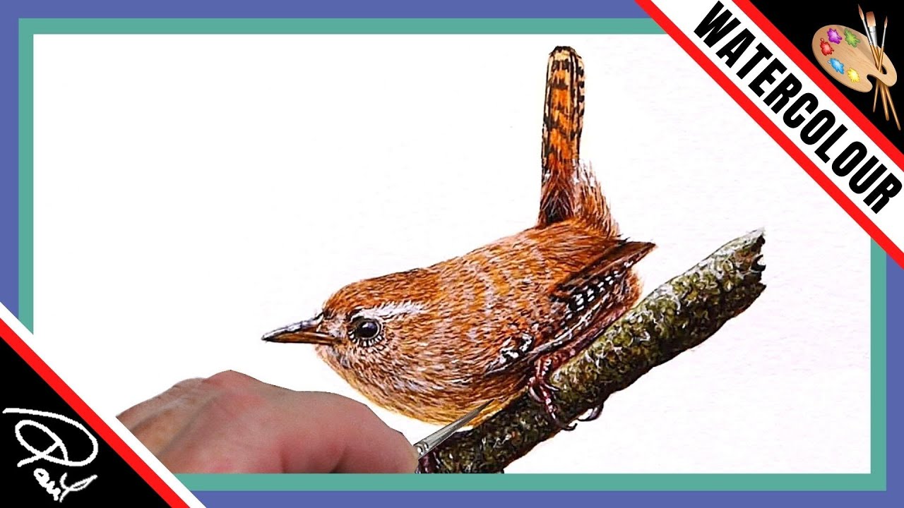 Watercolour Bird Wildlife Painting Tutorial - How To Paint a Realistic Wren