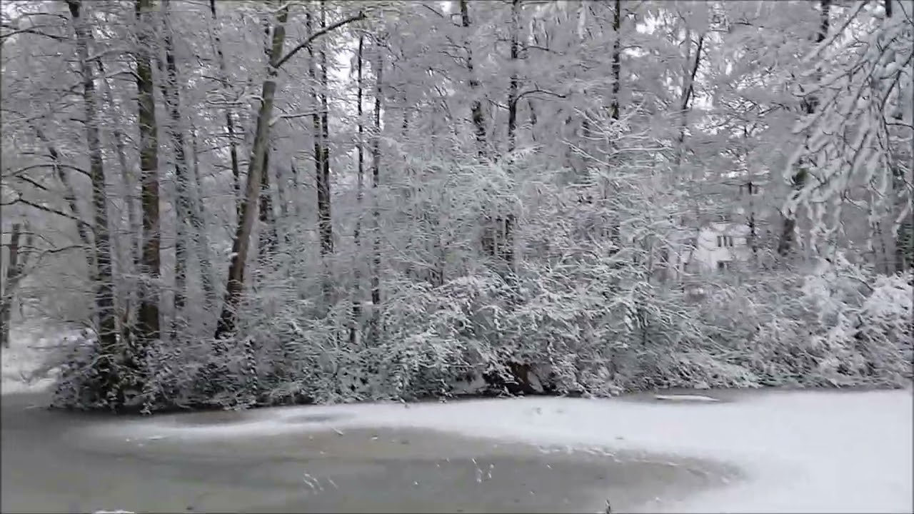 Erster Schneefall in Hamburg Harburg