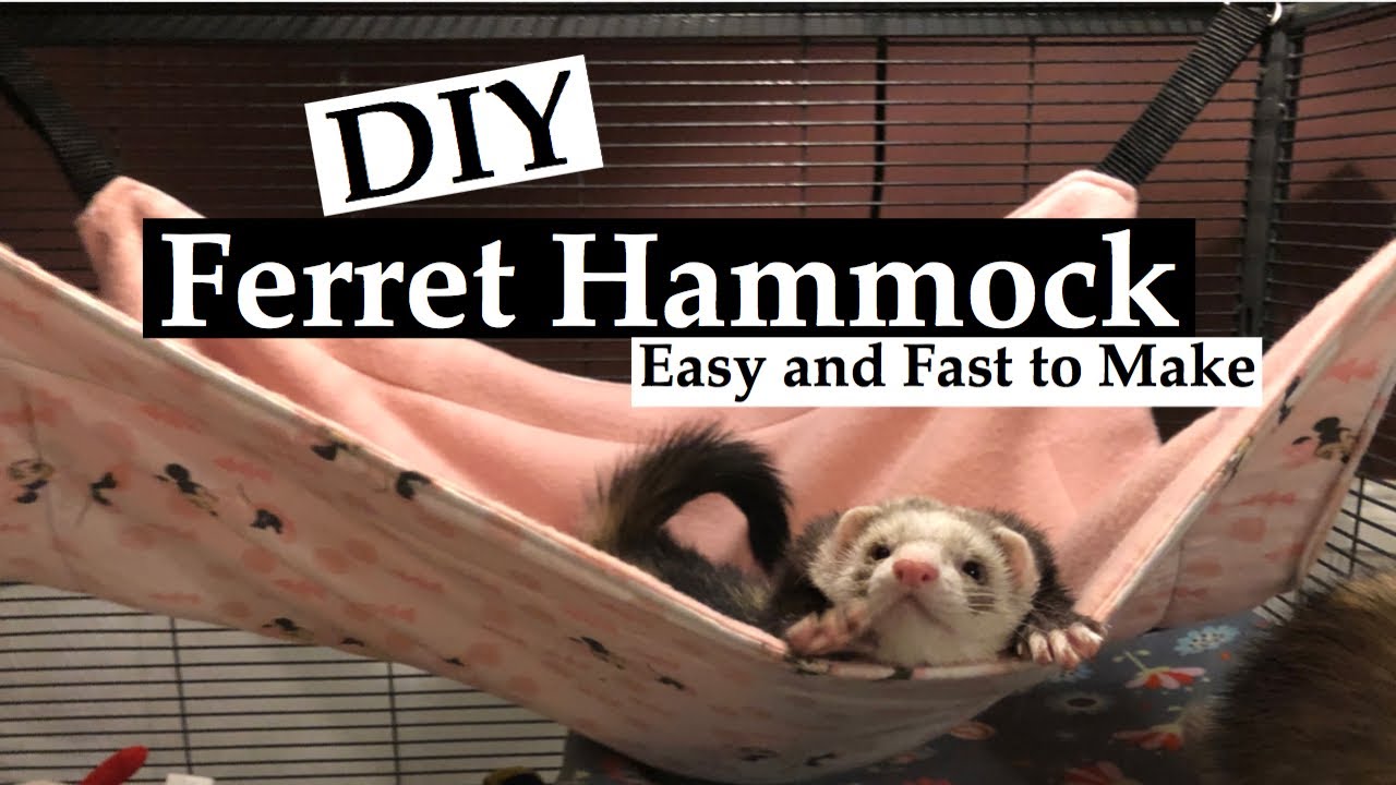 DIY Ferret Hammock