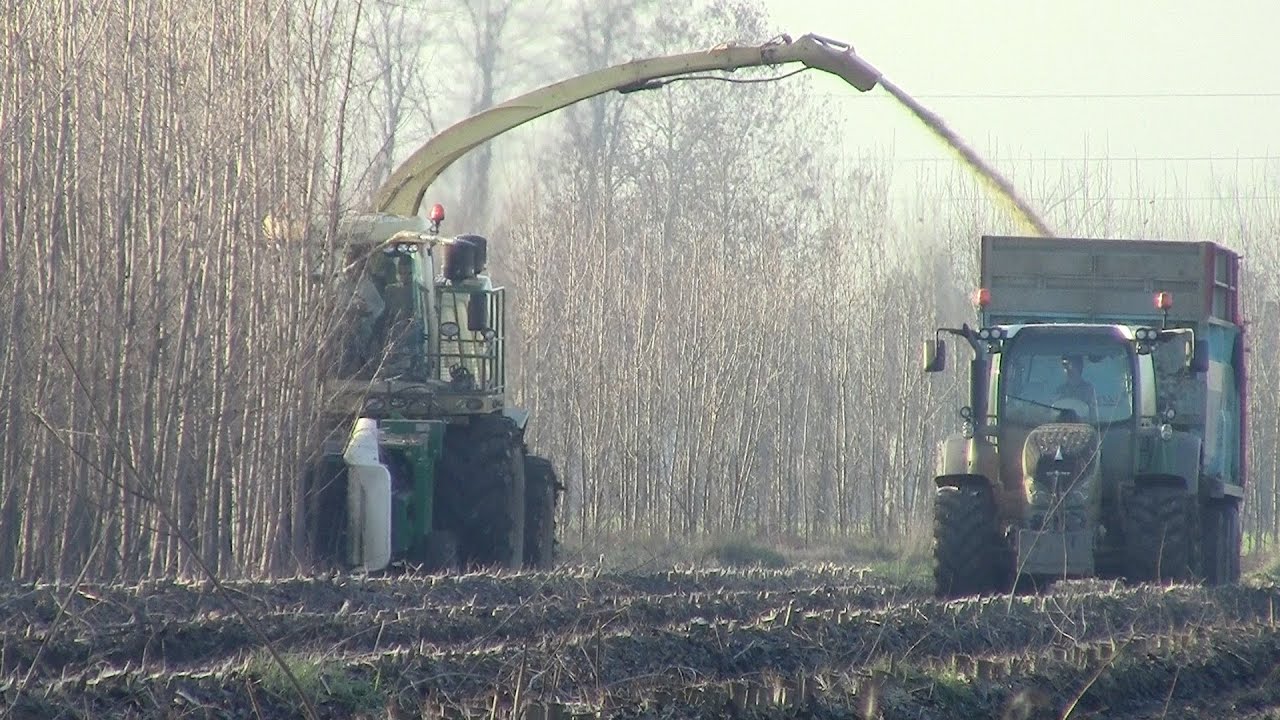 WOOD CHIPPING: KRONE Big X 700 and 2x NEW Fendt in Italy | 2014