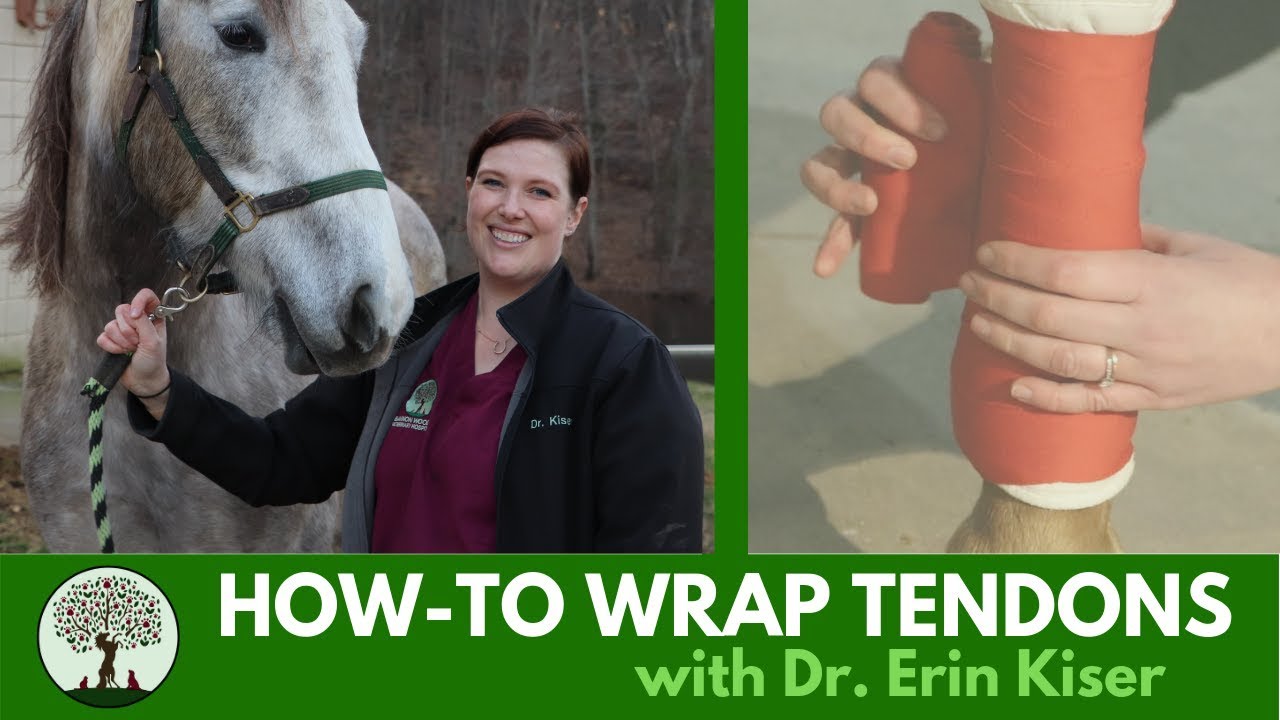 How-to: Properly Wrap Tendons with Dr. Erin Kiser