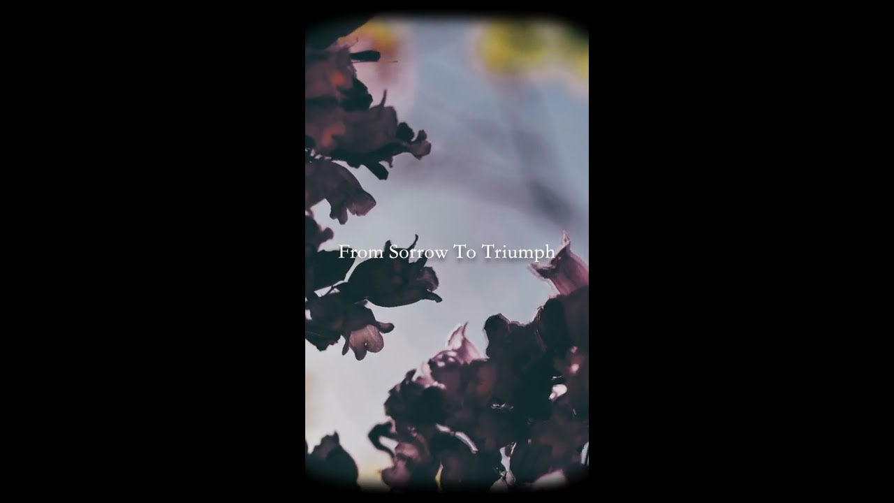 Simone Pietroforte - From Sorrow To Triumph