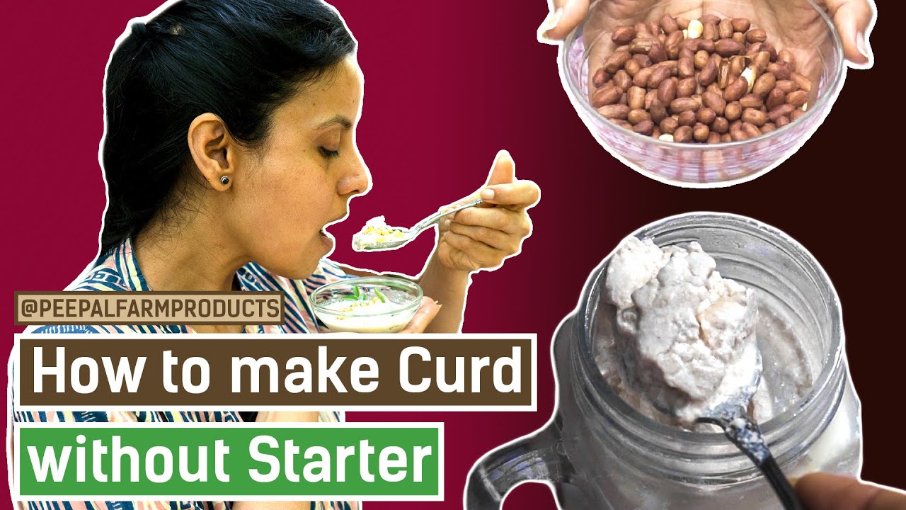 How to Make Peanut Curd without a Starter | Vegan Curd | वीगन योगर्ट