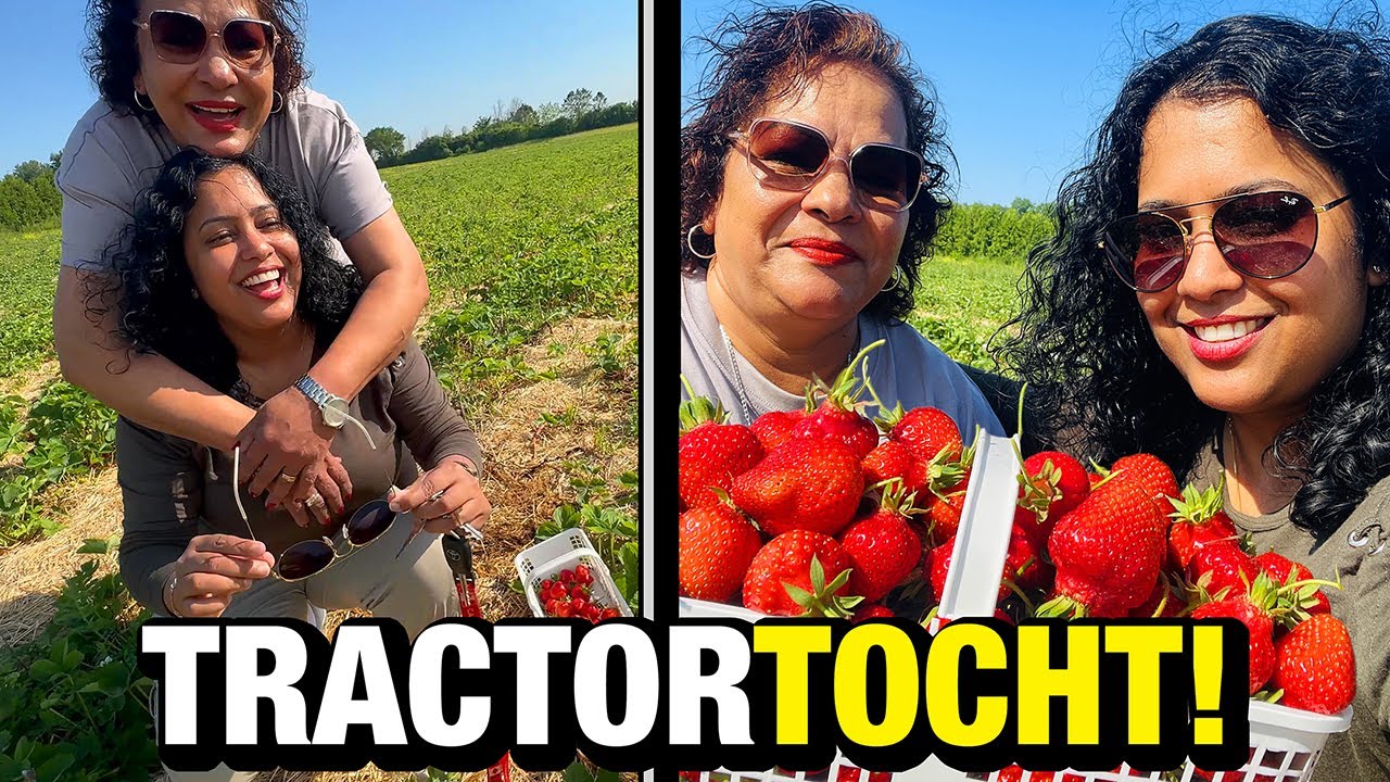 Boerderijplezier: Aardbeien Plukken En Tractortocht
