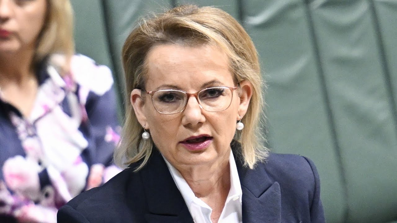 Coalition cannot do its job when led by ‘moderate’ Sussan Ley: Chris Kenny
